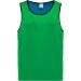 Chasuble de rugby réversible PA044 - Sporty Royal Blue / Green